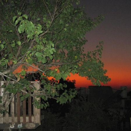 The House By The Mulberry Tree Apartman Neve Ilan Kültér fotó