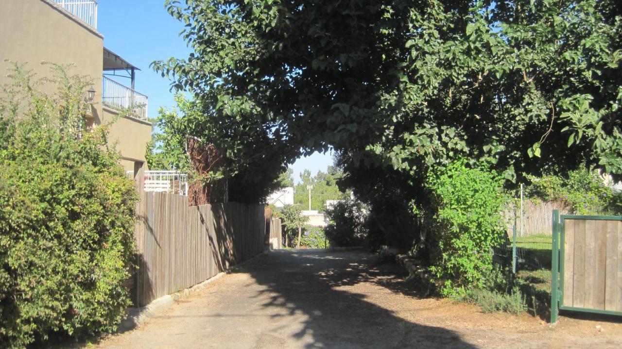 The House By The Mulberry Tree Apartman Neve Ilan Kültér fotó